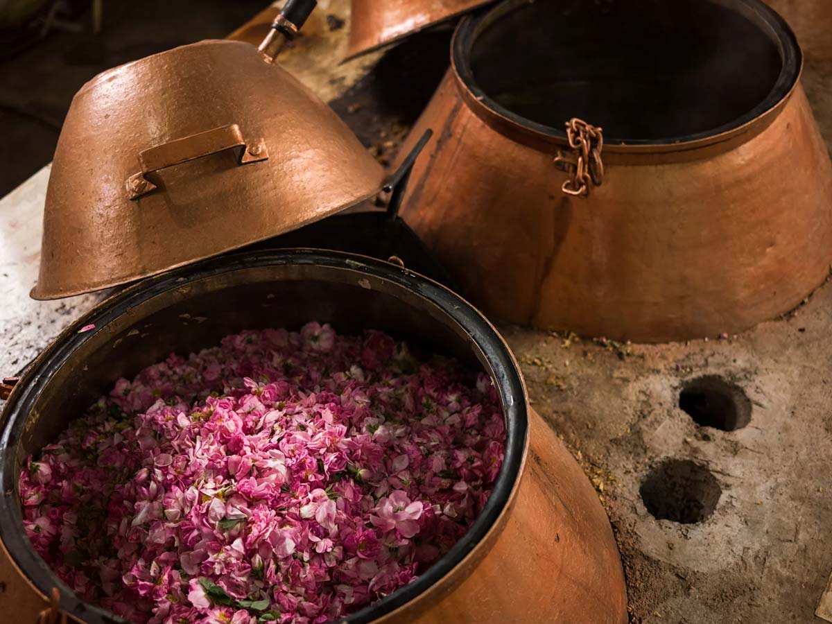 تولید گلاب به روش سنتی با دیگ مسی در قمصر